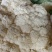 浙江瑞安市登明蔬菜专业合作社花菜代收欢迎新老客户前来冾谈