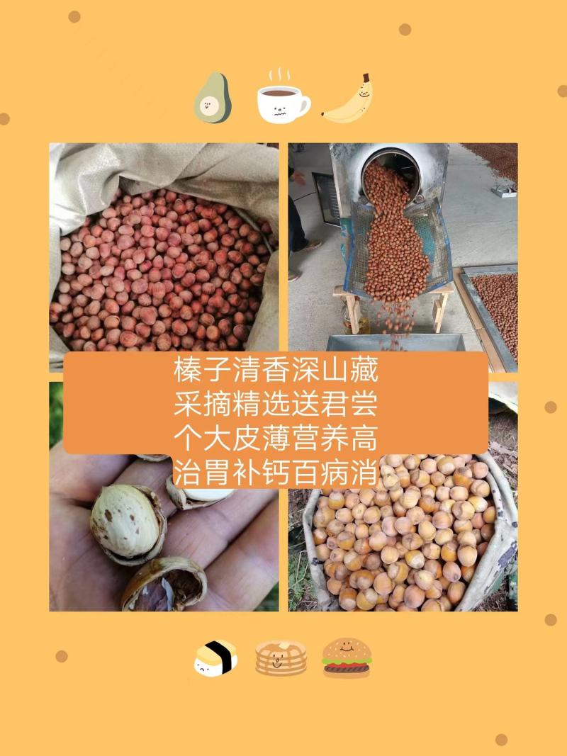 东北野生榛子