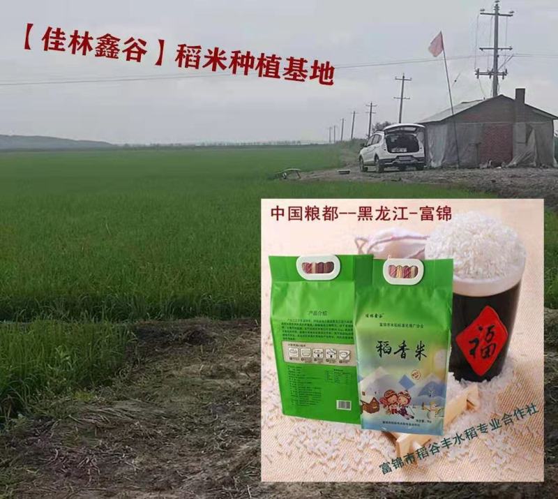 【一件代发】稻香米富硒大米原产地自产自销10斤装