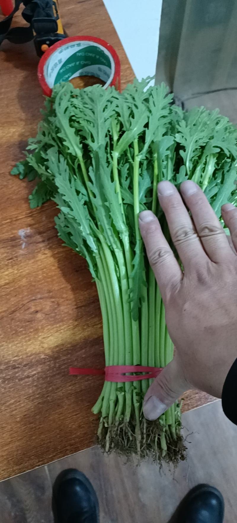河北精品茼蒿，大量上市光杆颜色绿，产地直发质量有保证联系