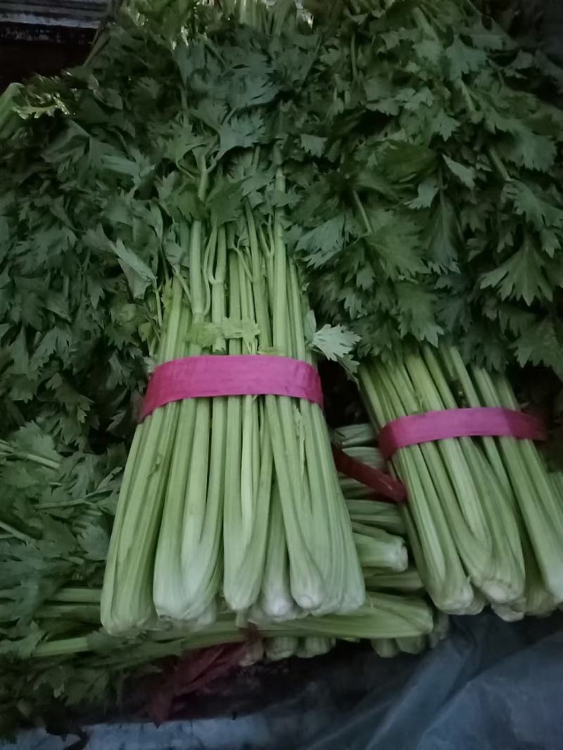 芹菜