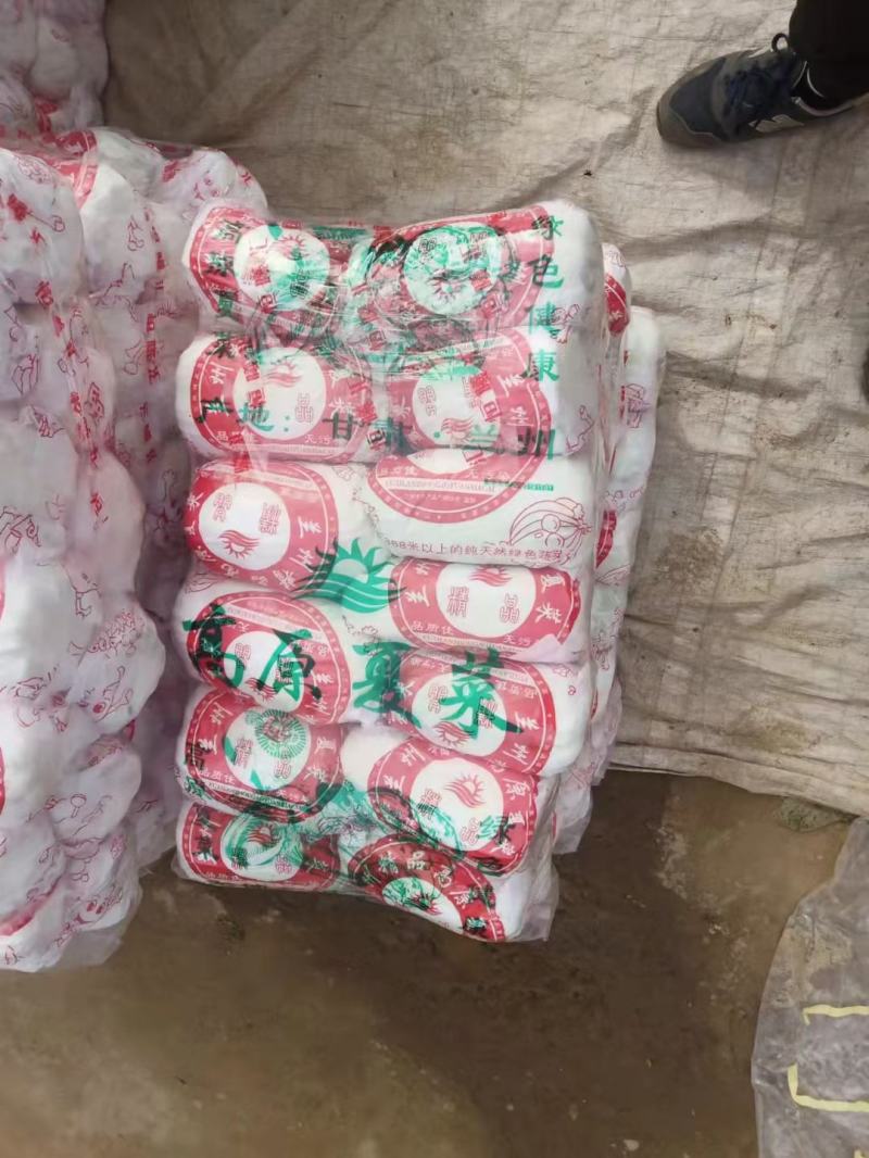 精包娃娃菜大娃小娃一手货源基地大吨位供应