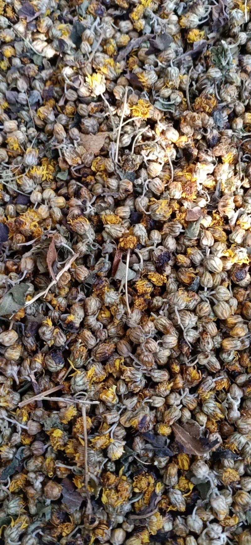 菊花，菊花茶，菊花枕，还来就菊花，菊花功效多