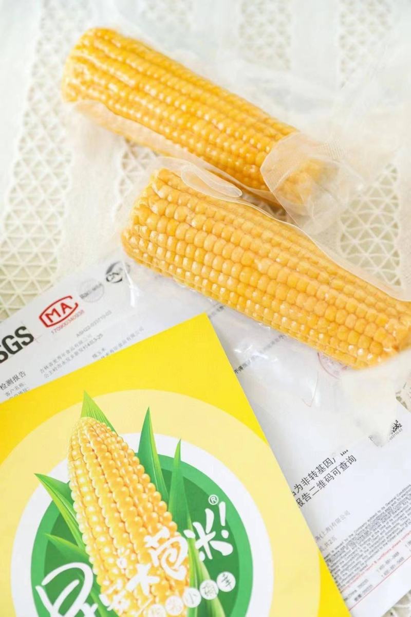 【一件代发】早安大包米.黄金香糯玉米（有机种植非转基因）