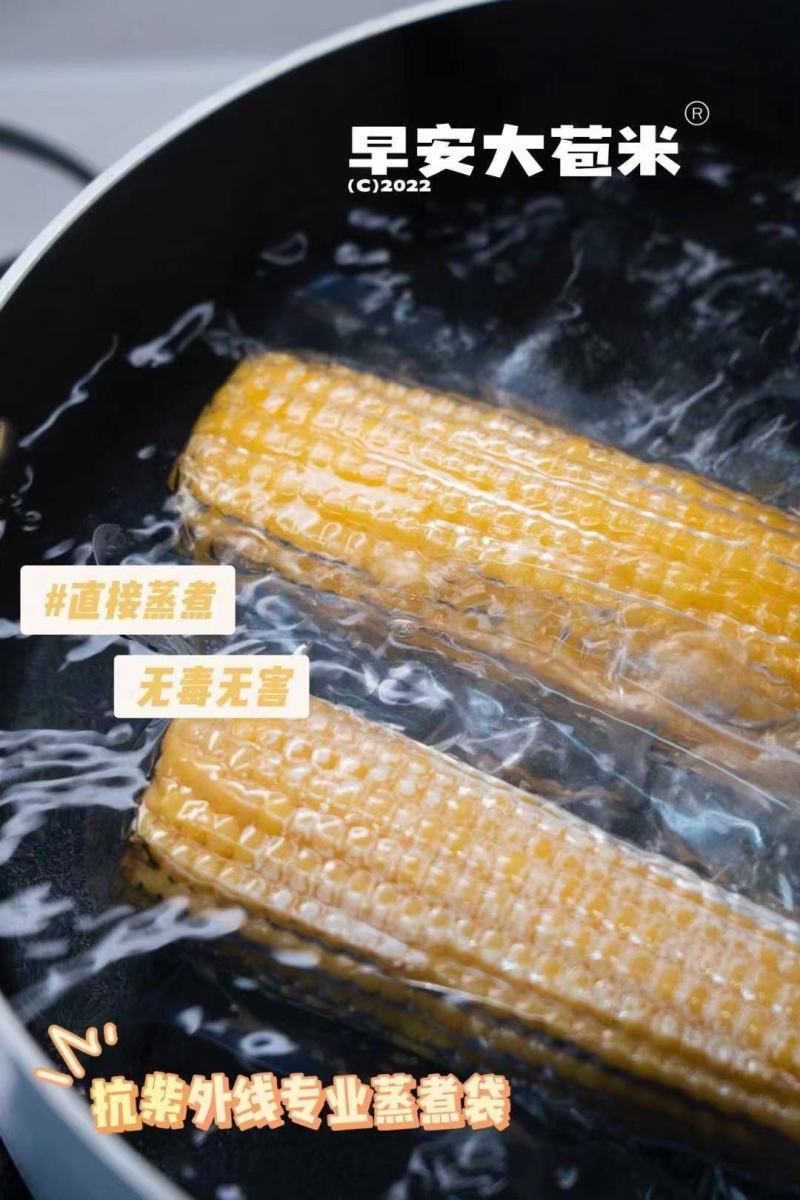 【一件代发】早安大包米.黄金香糯玉米（有机种植非转基因）