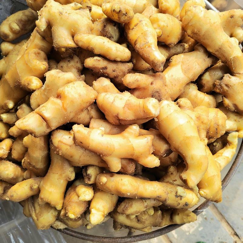 水洗姜巴一两到三两，精挑细选