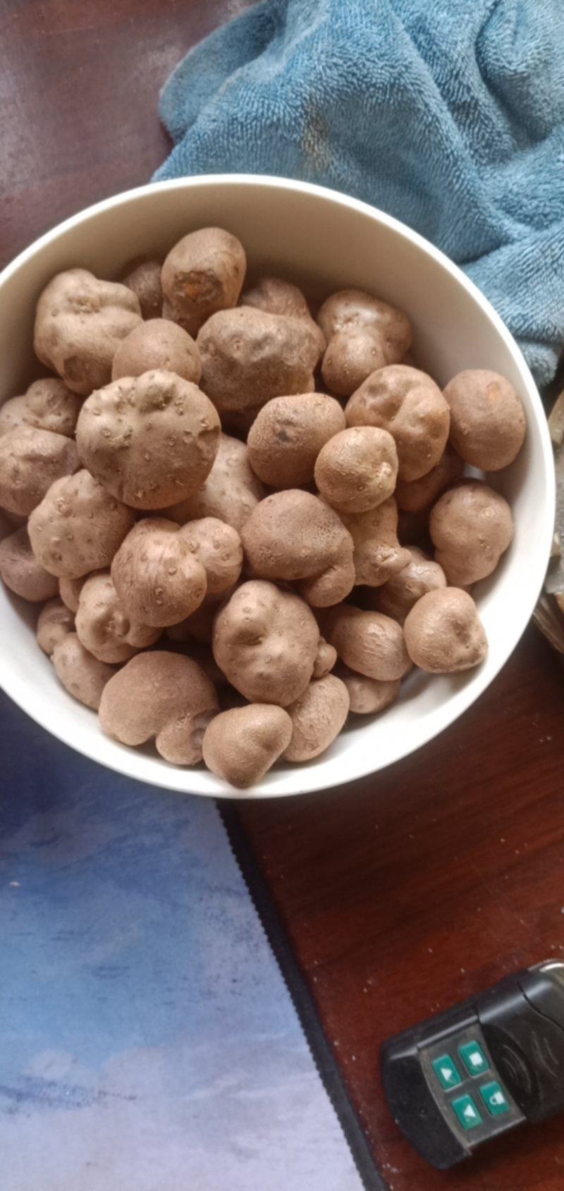 山药豆，麻山药豆量大质优价格优惠一手货源欢迎咨询采购