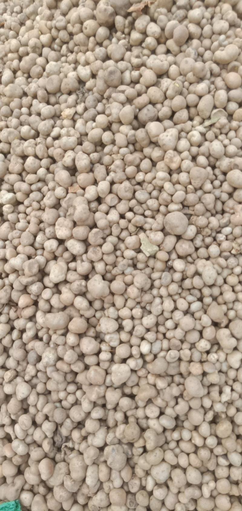 山药豆，麻山药豆量大质优价格优惠一手货源欢迎咨询采购