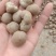 山药豆，麻山药豆量大质优价格优惠一手货源欢迎咨询采购