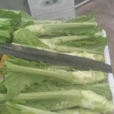 棒青菜