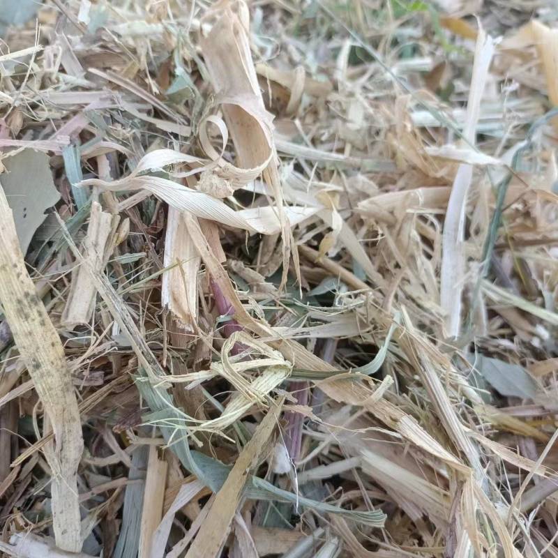 干玉米秸秆压块草料