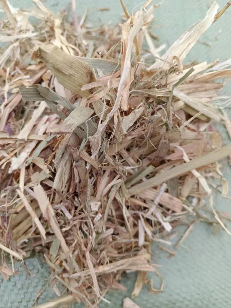 干玉米秸秆压块草料