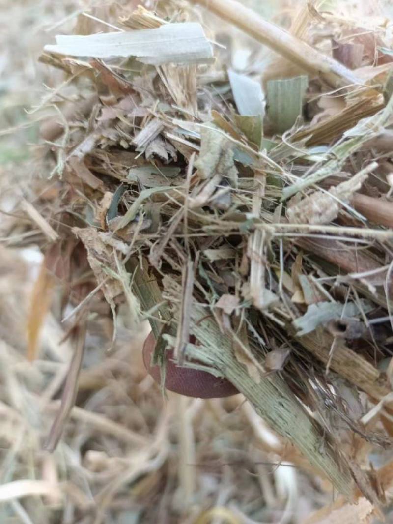 干玉米秸秆压块草料