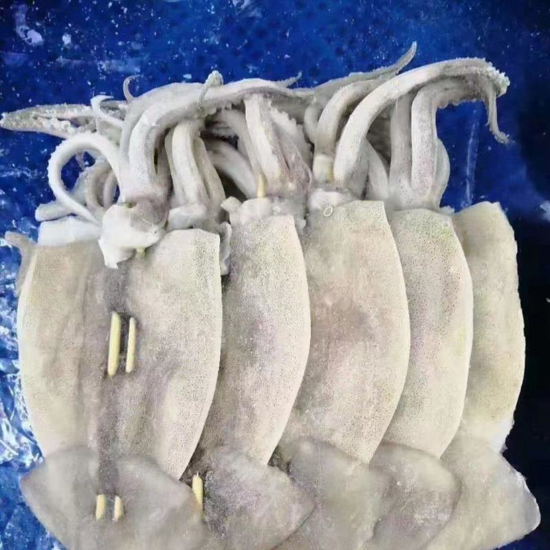 各种规格鱿鱼板串，鱿鱼须，手把串，龙珠凤舞