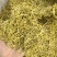 金银花山银花产地湖南统货永盛药业品种齐全质量好