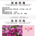 蜂室花种子蜂室花草种子四季种植室内阳台盆栽花卉屈曲花种籽