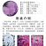 蜂室花种子蜂室花草种子四季种植室内阳台盆栽花卉屈曲花种籽