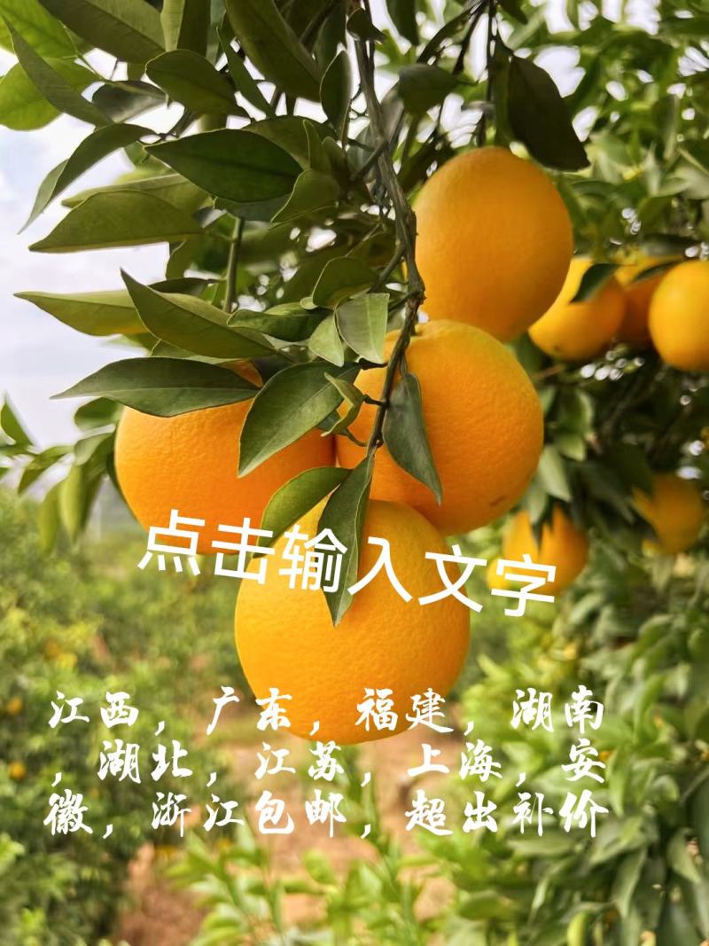赣南脐橙果园现摘现发，果汁原料，整车、一件代发