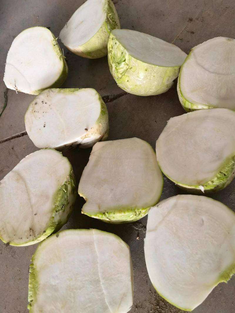 芥菜头疙瘩菜大量上市，欢迎新老客户前来采购…