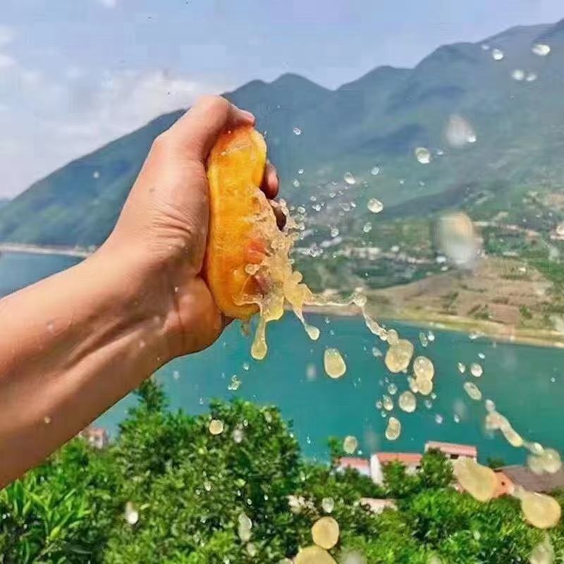赣南脐橙瑞金产区对接电商，社区团购，落地配一件代发做高品