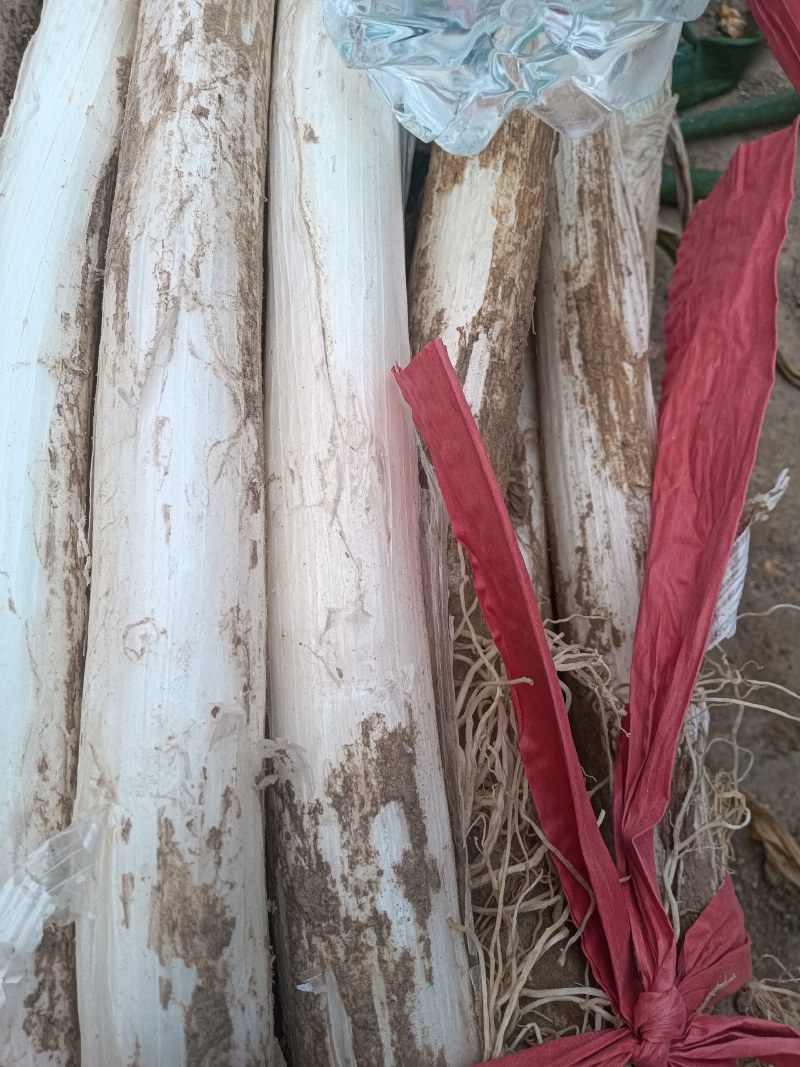 山东乐陵大葱新鲜供应，基地直发量大从优对接批发
