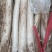山东乐陵大葱新鲜供应，基地直发量大从优对接批发