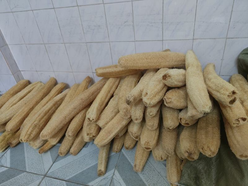 水瓜络丝瓜络