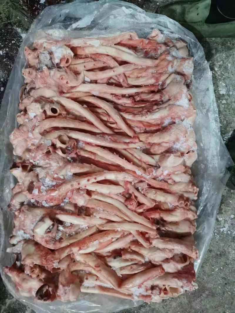肥猪心管