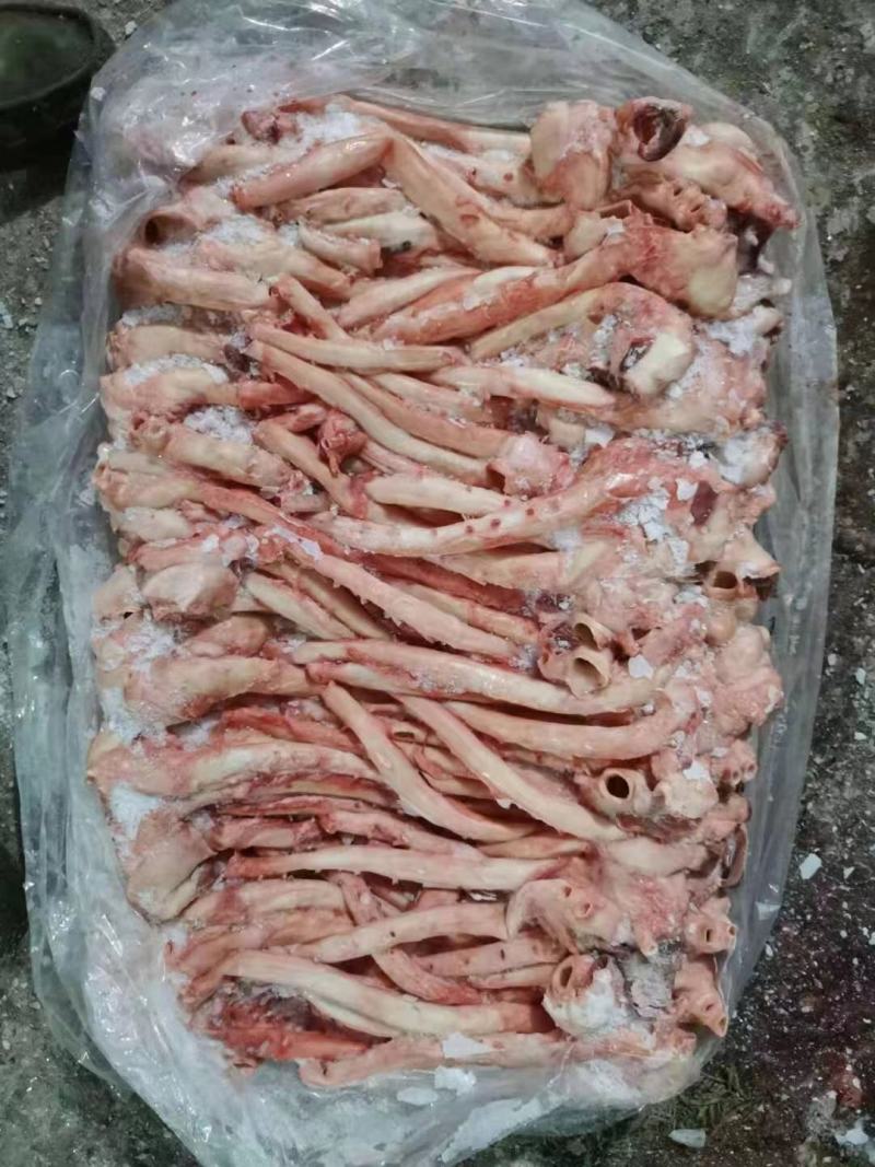 肥猪心管