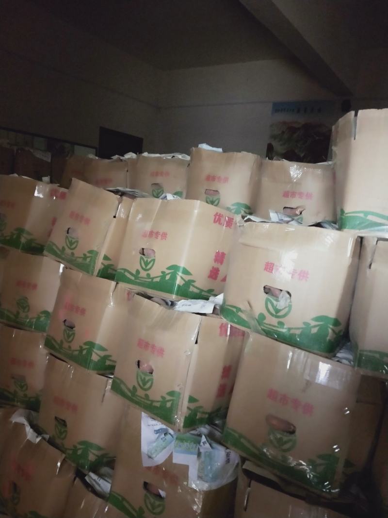 密薯西瓜红，产地直供，支持全国代发，保质保量。