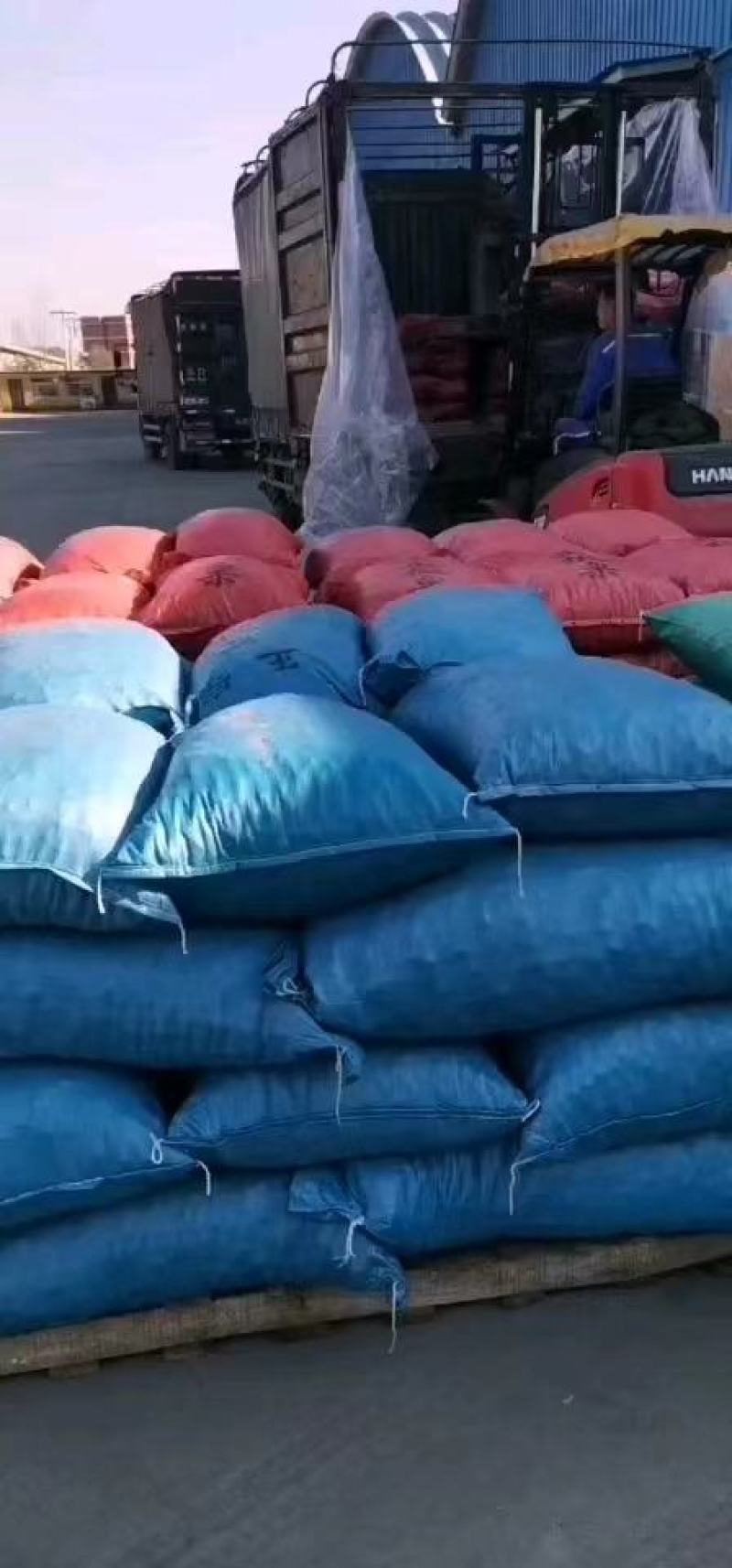 正宗迁西板栗燕山油栗炒货店软糯香甜颗粒饱满规格齐全包邮