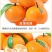 沃柑