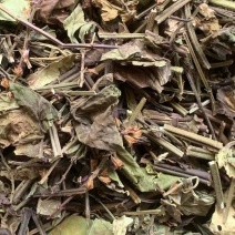 石见穿【包邮】三斤起发货可批量可零售量大从优