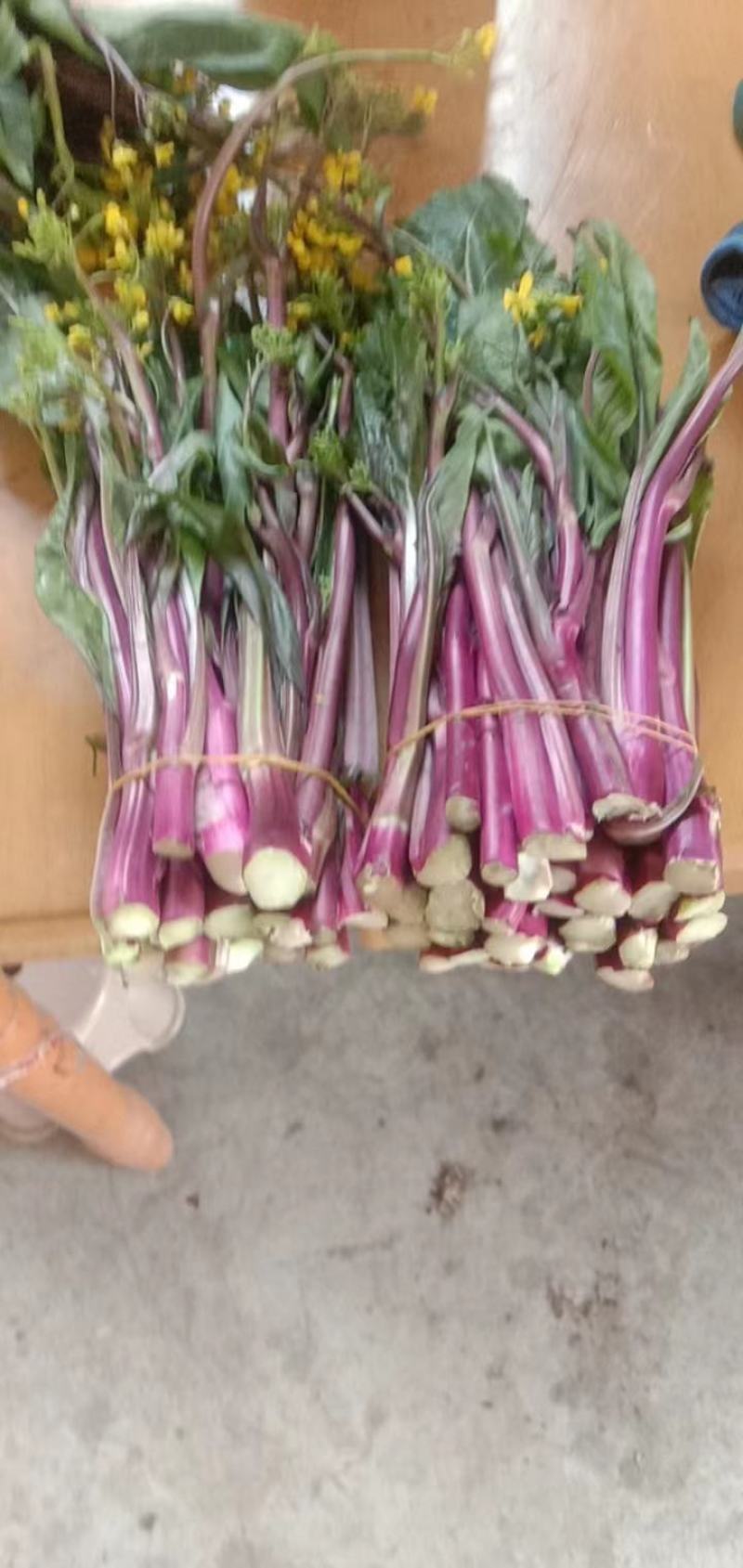 精品红菜苔，俗称神草，颜色鲜红