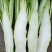 本地（精品）大基地出的棒子菜！价格安逸！大青棒