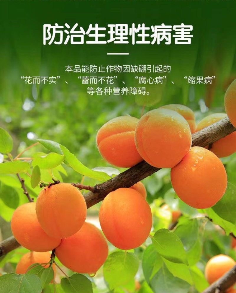 鲁丰速溶硼肥料保花保果叶面肥瓜果蔬菜果树药材花卉通用