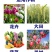 鲁丰速溶硼肥料保花保果叶面肥瓜果蔬菜果树药材花卉通用