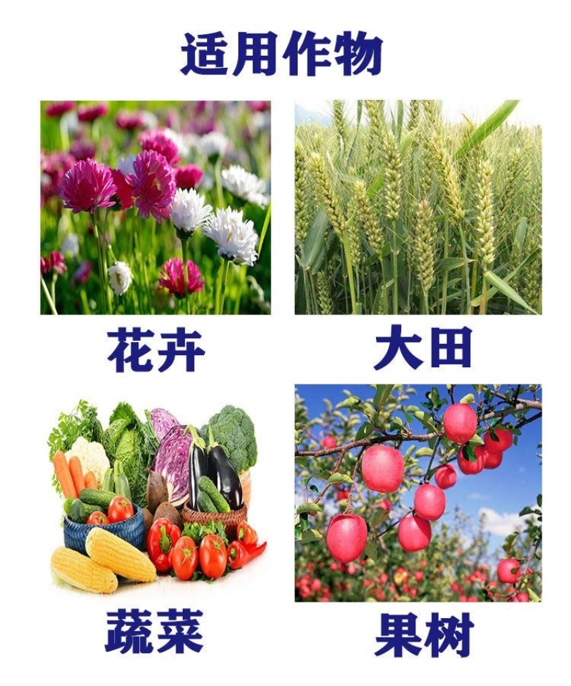 鲁丰速溶硼肥料保花保果叶面肥瓜果蔬菜果树药材花卉通用