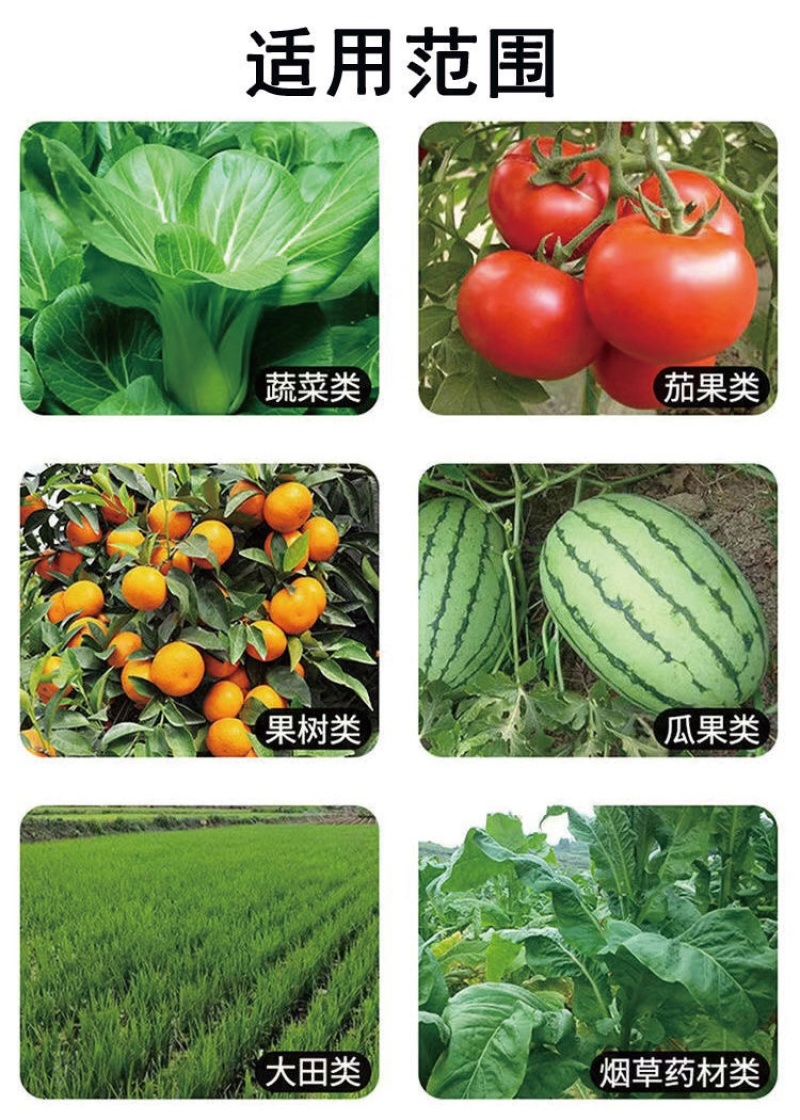 鲁丰速溶硼肥料保花保果叶面肥瓜果蔬菜果树药材花卉通用