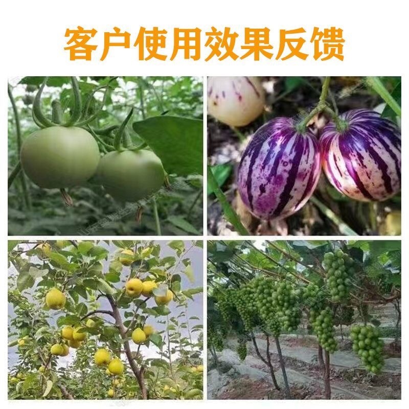 鲁丰速溶硼肥料保花保果叶面肥瓜果蔬菜果树药材花卉通用