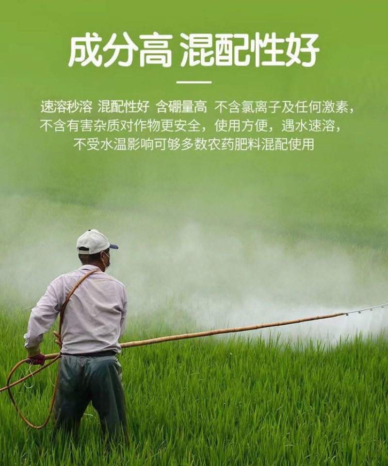 鲁丰速溶硼肥料保花保果叶面肥瓜果蔬菜果树药材花卉通用