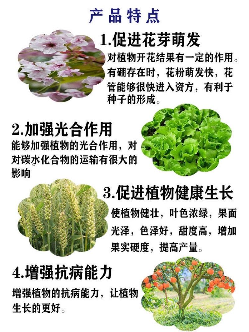鲁丰速溶硼肥料保花保果叶面肥瓜果蔬菜果树药材花卉通用