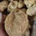 精品猴头质量非常好个个有男人拳头大