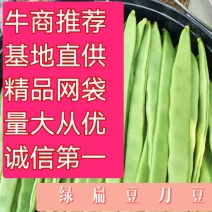 绿扁豆精品到网袋，云南临沧正反季节蔬菜，质量保证基地直发