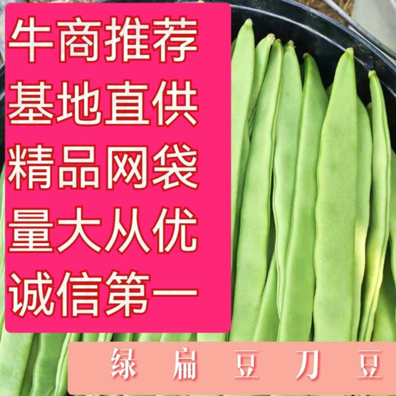 绿扁豆精品到网袋，云南临沧正反季节蔬菜，质量保证基地直发