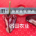 草莓椒种子大果型韩国明珠草莓椒种子朝天椒种子