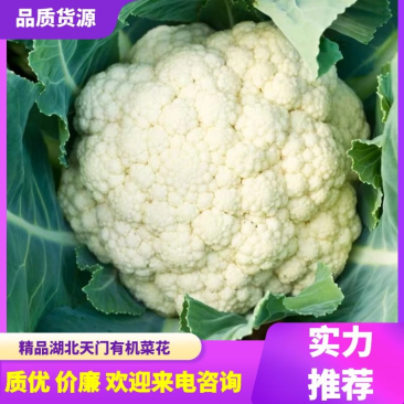 天门白面青梗有机花菜，松花菜菜花散花花菜保质保量
