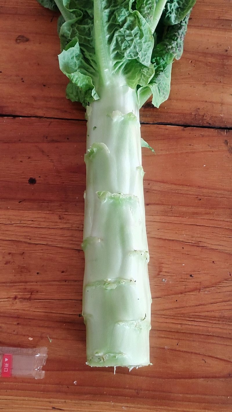 湖北当阳红叶香莴笋大量上市
