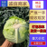 湖北天门甘蓝圆包菜扁包菜基地合作，有质量问题包赔