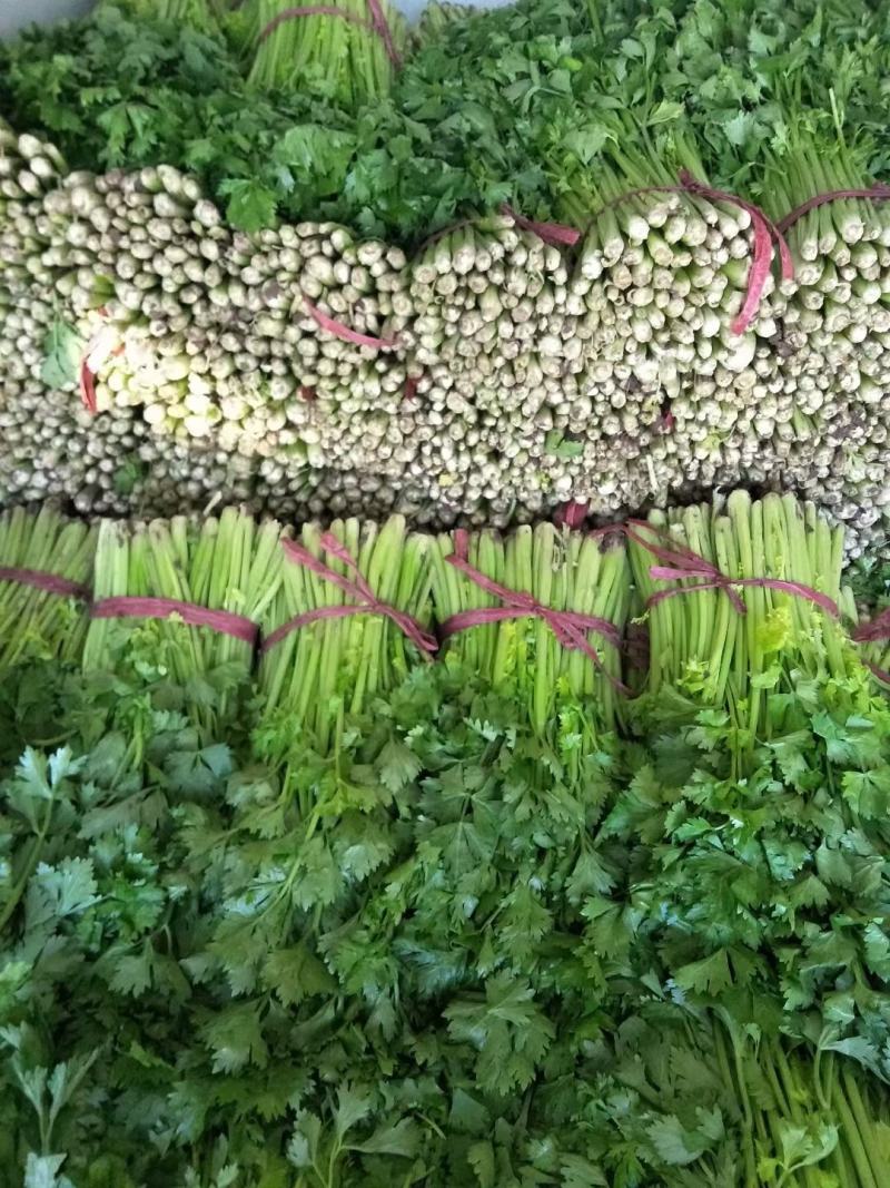 芹菜